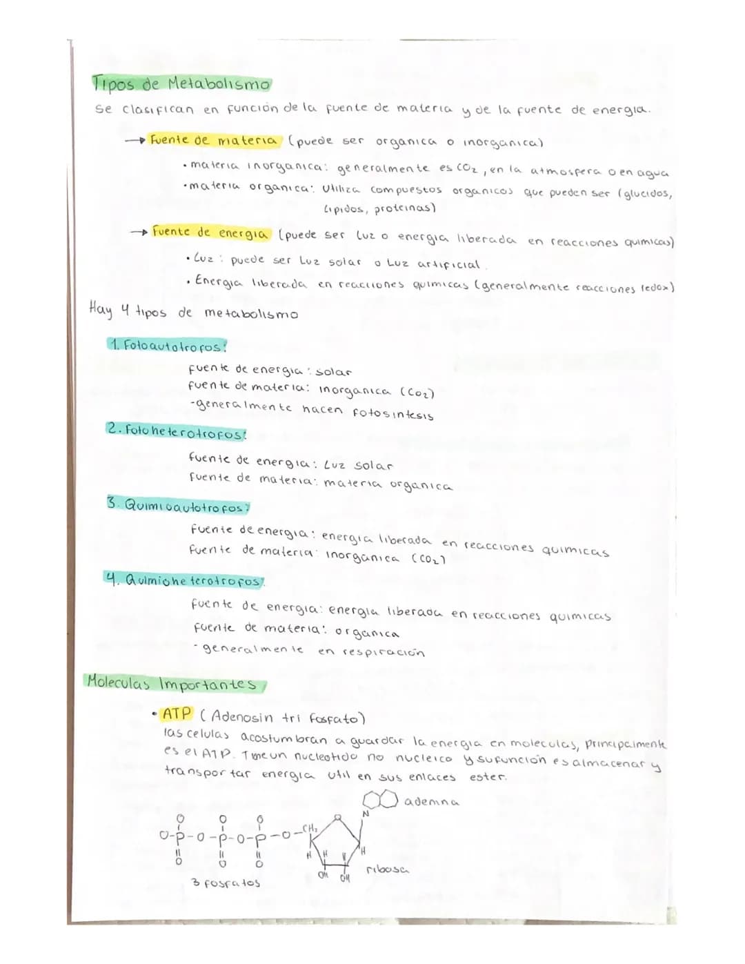 METABOLISMO
El metabolismo es el conjunto de reacciones enzimaticas que se producen
en el interior de la celula.
Objetivo fundamental del me