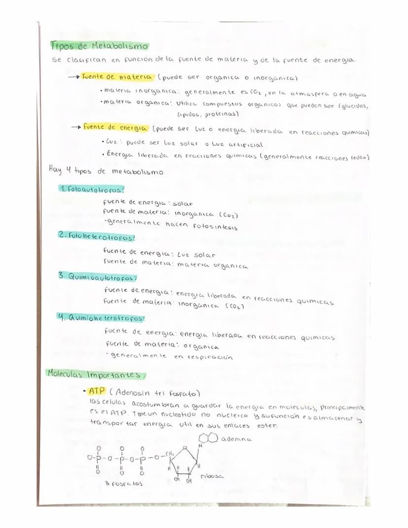 METABOLISMO
El metabolismo es el conjunto de reacciones enzimaticas que se producen
en el interior de la celula.
Objetivo fundamental del me