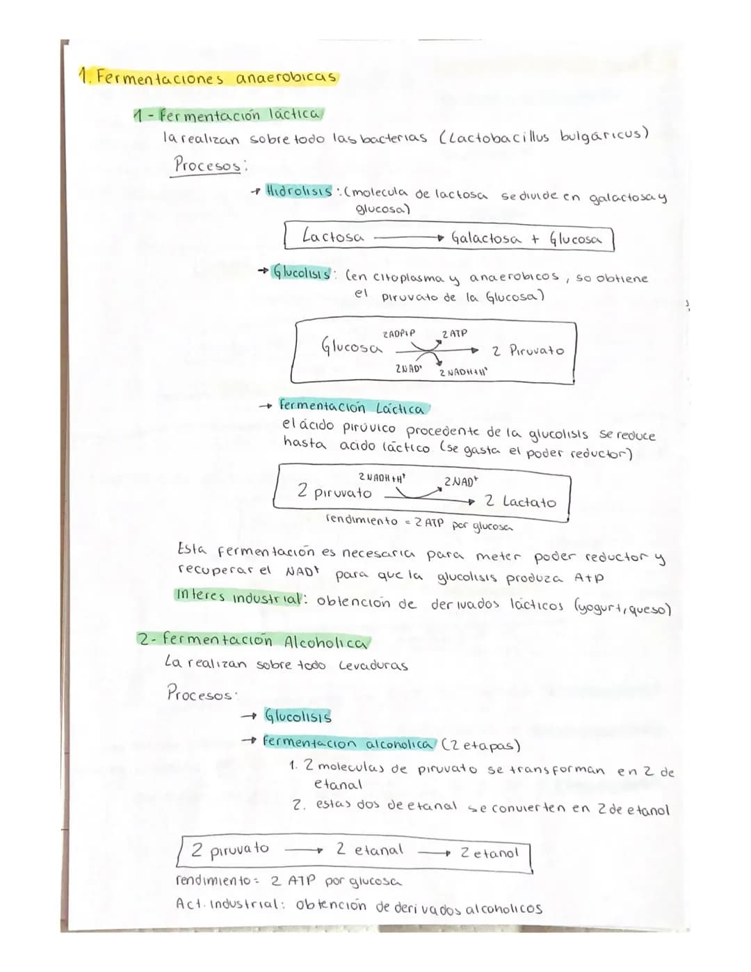 METABOLISMO
El metabolismo es el conjunto de reacciones enzimaticas que se producen
en el interior de la celula.
Objetivo fundamental del me