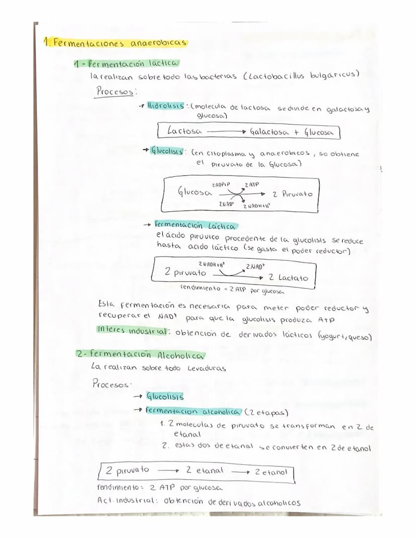 METABOLISMO
El metabolismo es el conjunto de reacciones enzimaticas que se producen
en el interior de la celula.
Objetivo fundamental del me