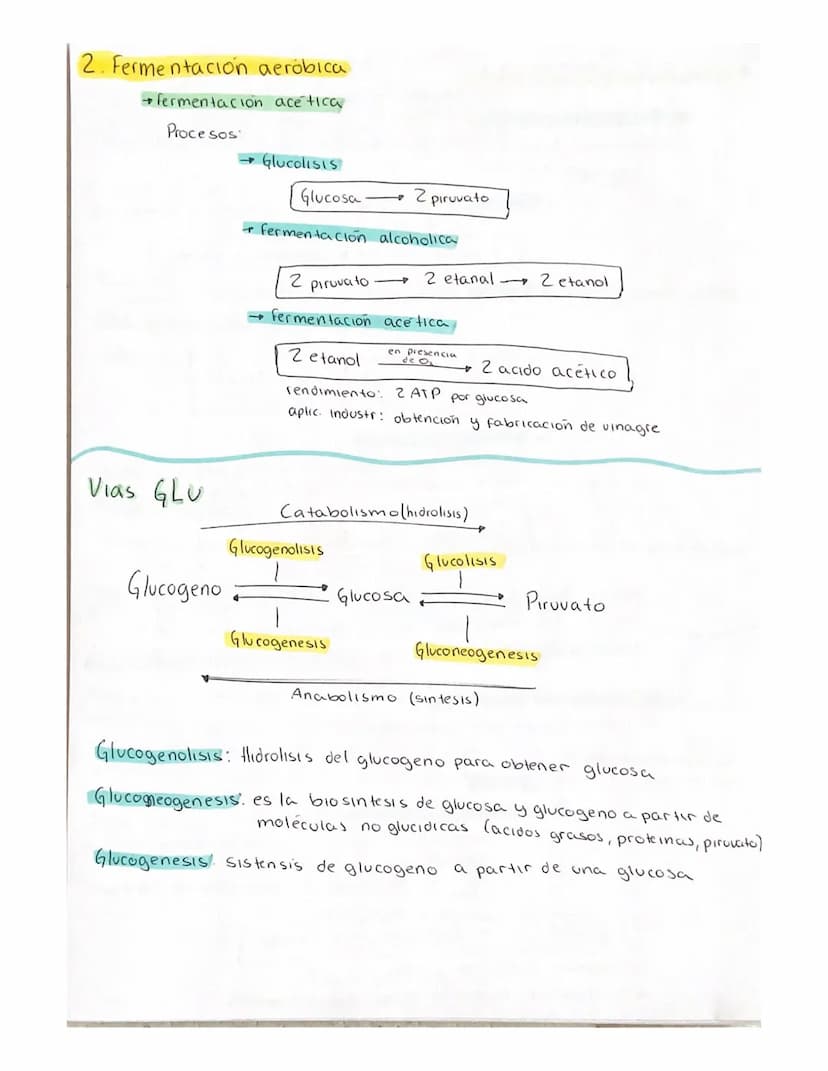 METABOLISMO
El metabolismo es el conjunto de reacciones enzimaticas que se producen
en el interior de la celula.
Objetivo fundamental del me