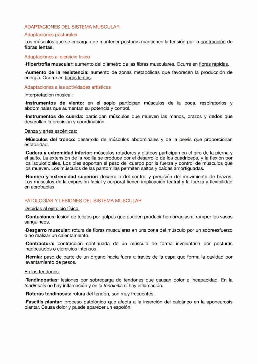 ESTRUCTURA DE LOS MÚSCULOS
.Fibras musculares: células del músculo esquelético que tienen la función de contracción.
.Células satélite: part