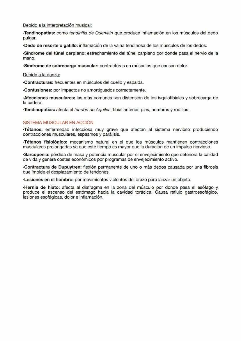 ESTRUCTURA DE LOS MÚSCULOS
.Fibras musculares: células del músculo esquelético que tienen la función de contracción.
.Células satélite: part