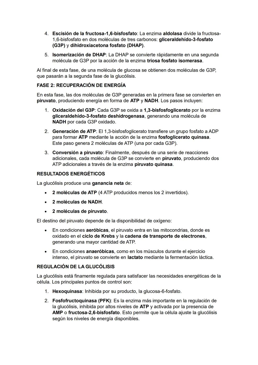 GLUCÓLISIS
La glucólisis es una de las rutas metabólicas más fundamentales en la célula,
encargada de la degradación de la glucosa (CHO) par