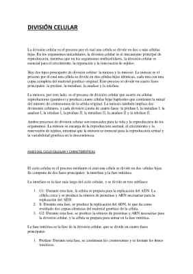 Know DIVISIÓN CELULAR thumbnail