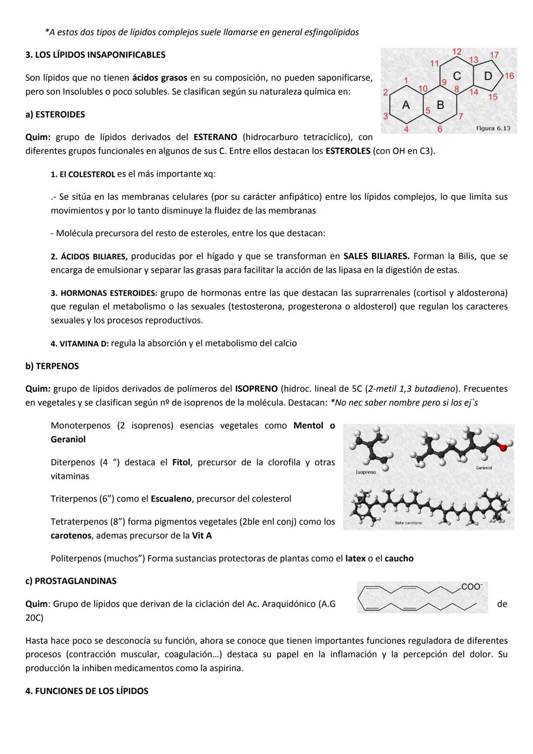 # TEMA 3: LÍPIDOS

1. CARACTERÍSTICAS GENERALES Y CLASIFICACIÓN

Los Lípidos, son un amplio grupo de moléculas orgánicas, químicamente muy h