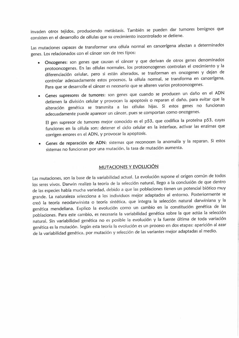 ●
Las mutaciones son cambios estables en el ADN de un individuo. Desde el punto de vista
evolutivo, las mutaciones son el origen de la varia