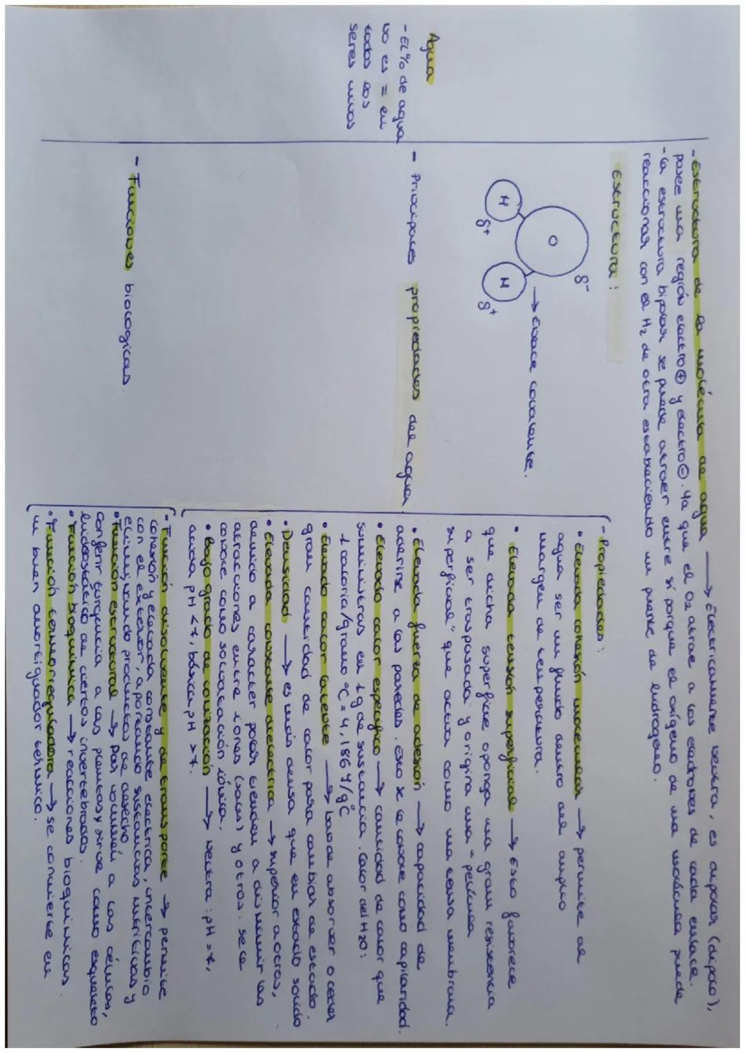 Aqua
-EL% de agua
vo es = en
todos o
seres cos
-Estructura de la molécusa de agua Electricaluence severa, es depolar (dipoco),
posee wa regi