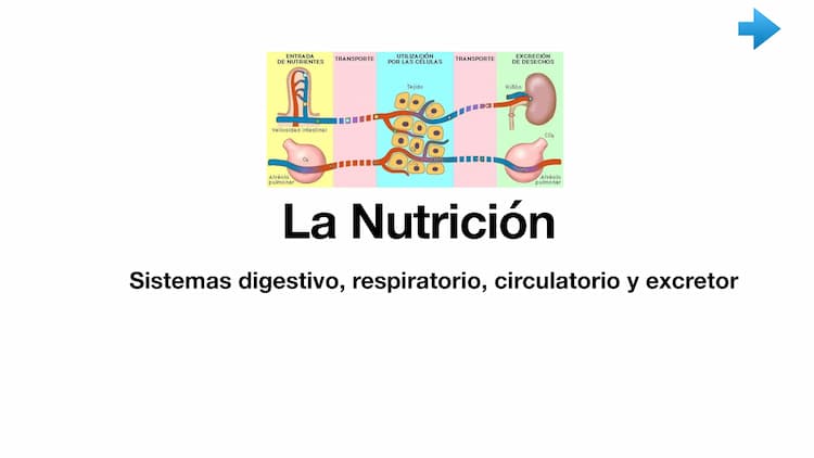 Know Presentación nutrición completa.  thumbnail