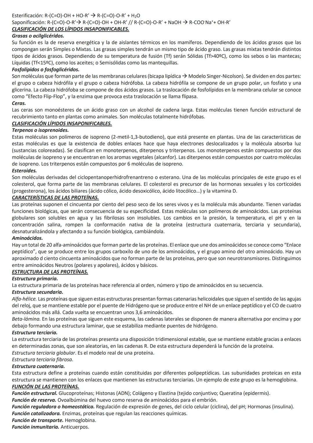 TEMA 1: BIOQUÍMICA.
ESTRUCTURA DE LA MOLÉCULA DE AGUA.
La molécula de agua está formada por tres átomos unidos mediante enlaces covalentes: 