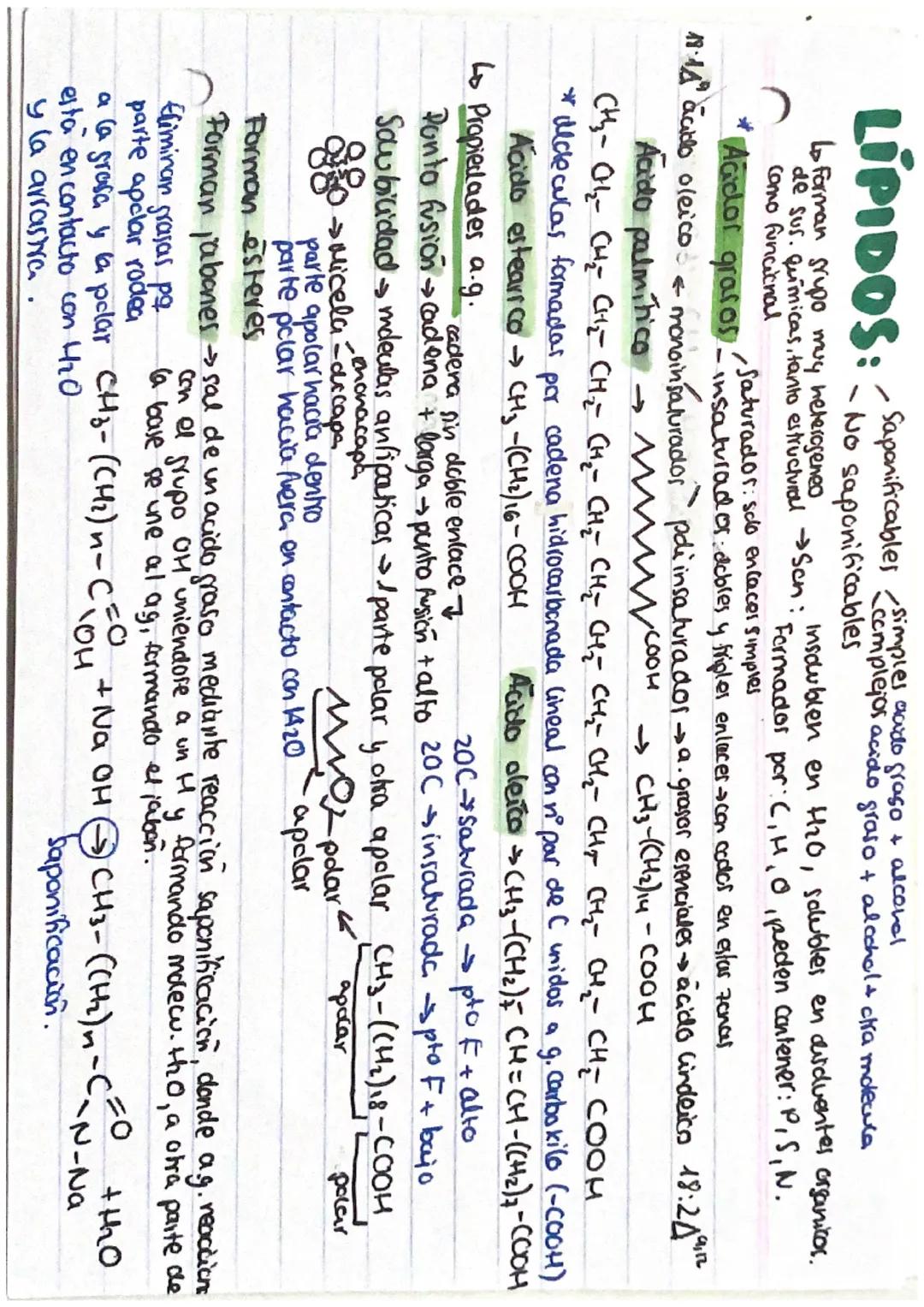 # LIPIDOS
Cupidor saponificables complejos
Fosfoerfingolipidos Esfingomieling mielina de las neuronas. Hace que vayan + rập.

Glucoesfingoli