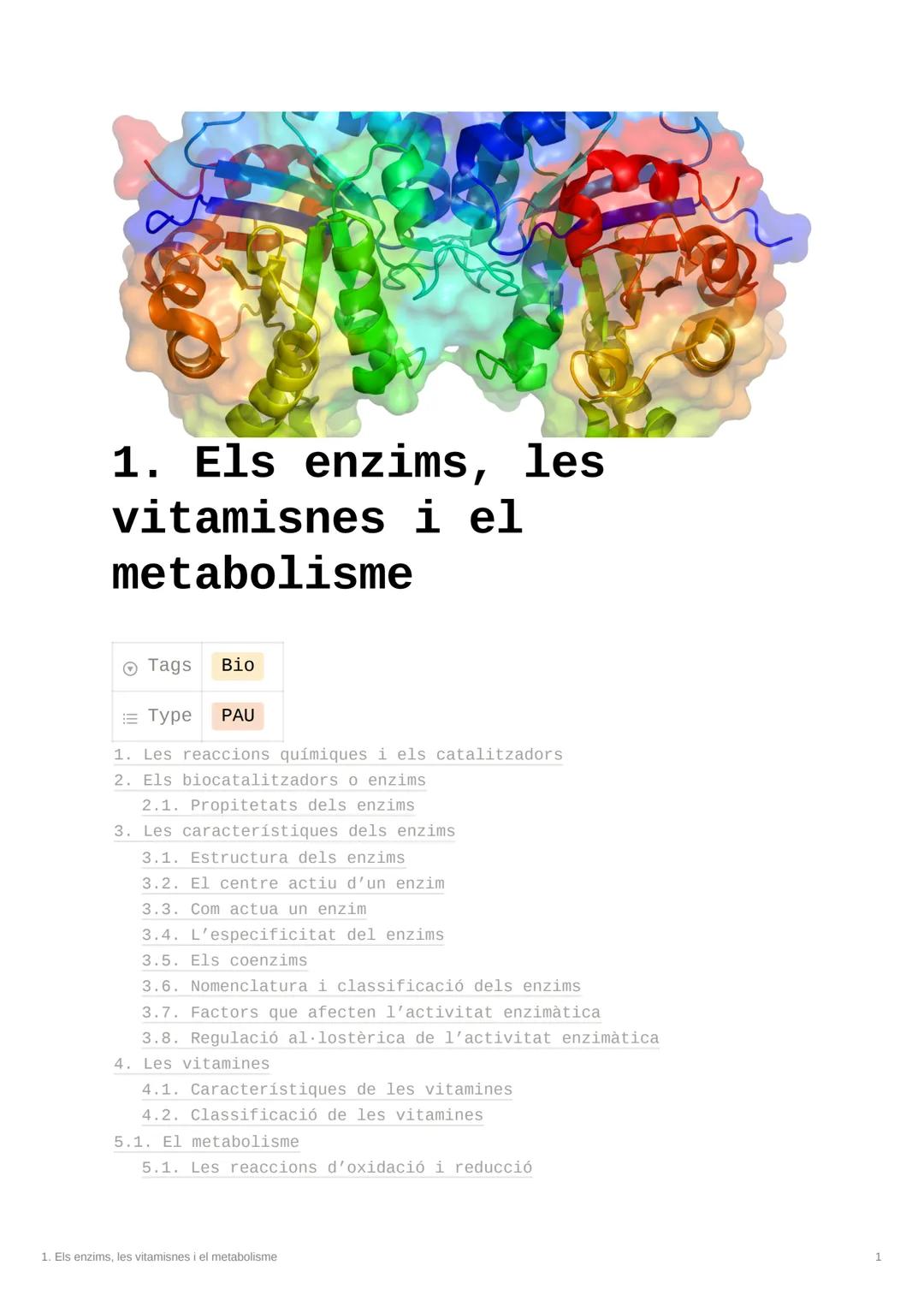 1. Els enzims, les
vitamisnes i el
metabolisme

Tags Bio

Type PAU

1. Les reaccions químiques i els catalitzadors
2. Els biocatalitzadors o