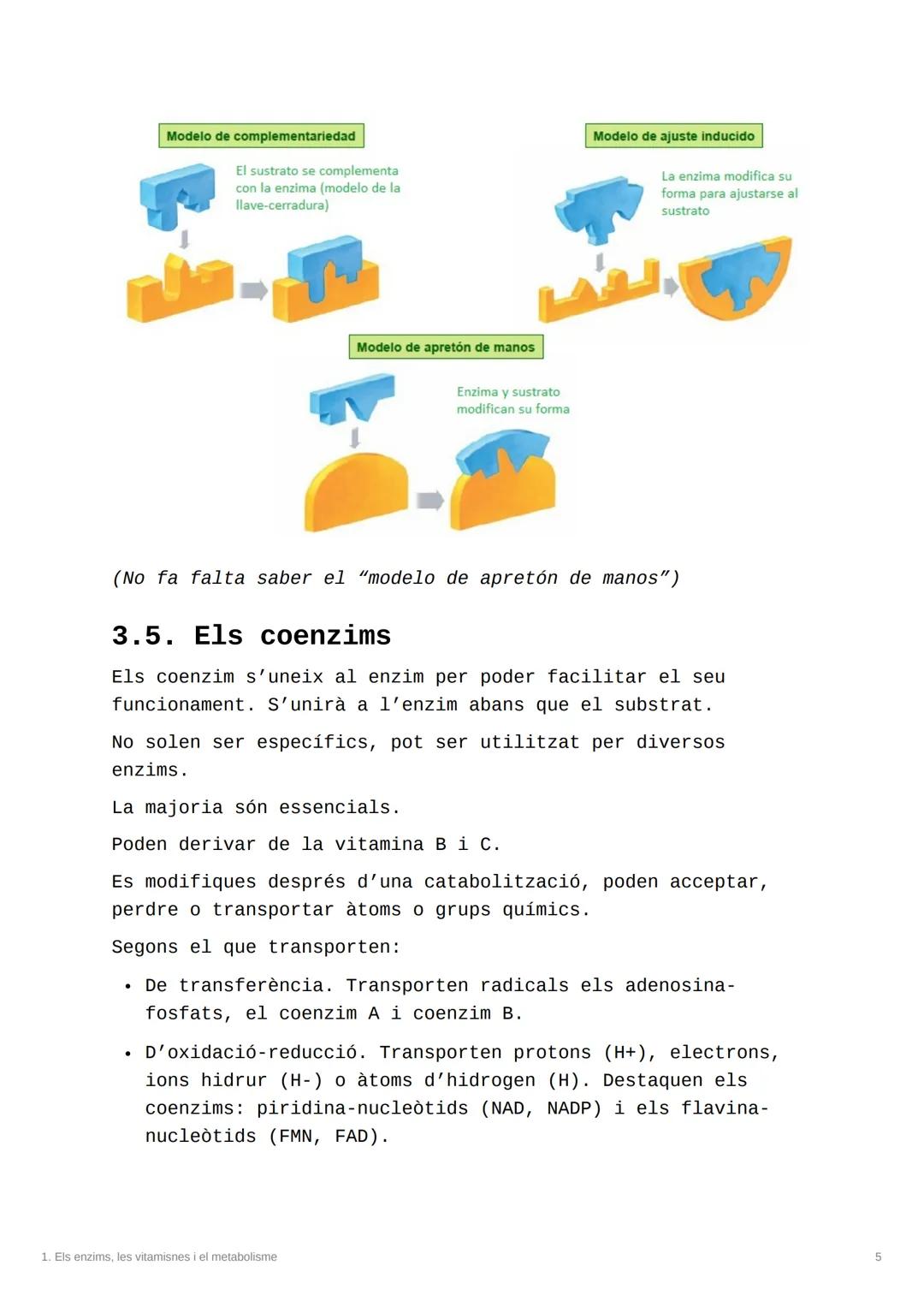 1. Els enzims, les
vitamisnes i el
metabolisme

Tags Bio

Type PAU

1. Les reaccions químiques i els catalitzadors
2. Els biocatalitzadors o