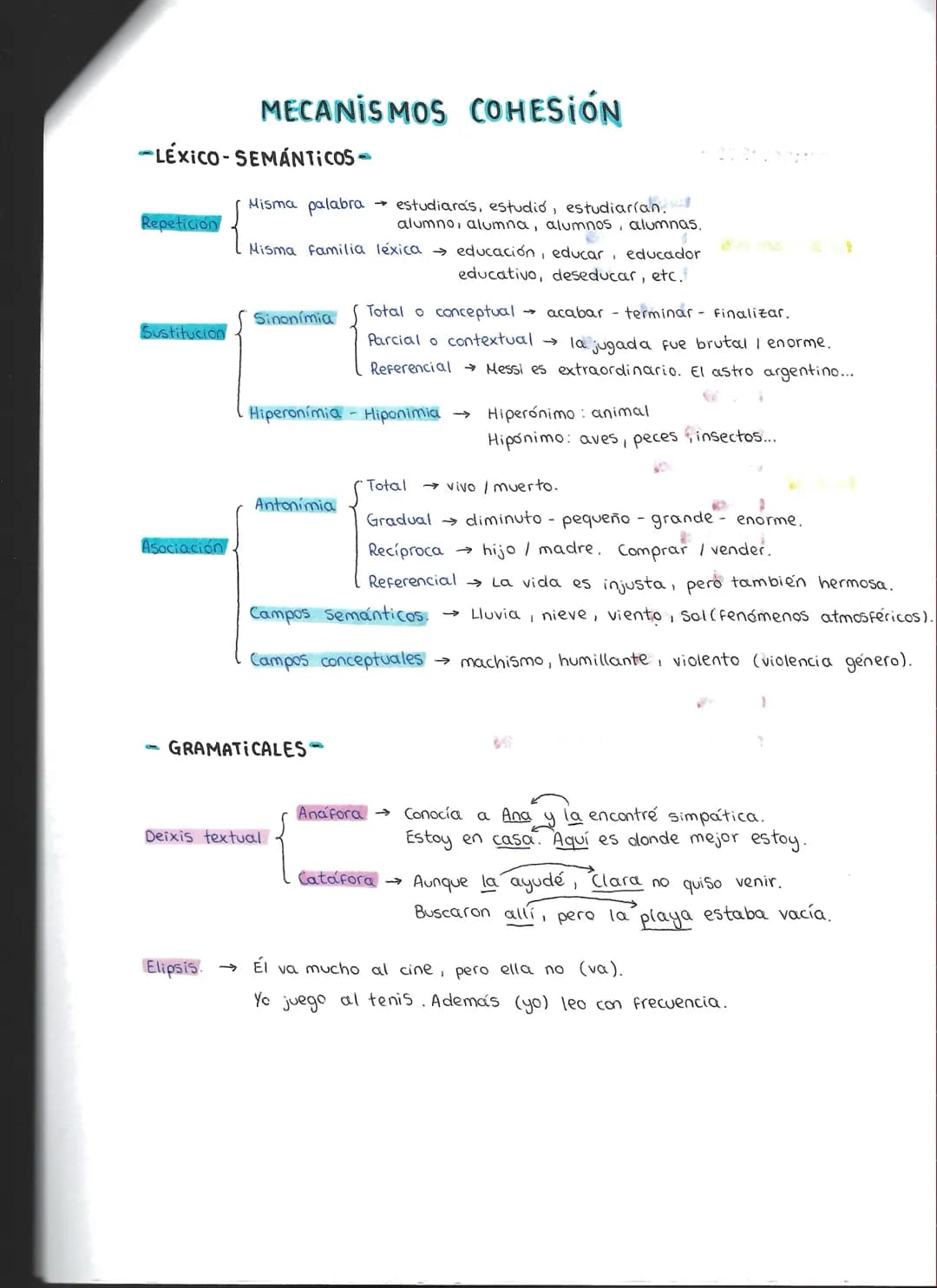 MECANISMOS COHESIÓN
-LÉXICO-SEMÁNTICOS-
Repetición
Misma palabra → estudiarás, estudio, estudiarían.
alumno, alumna, alumnos, alumnas.
Misma