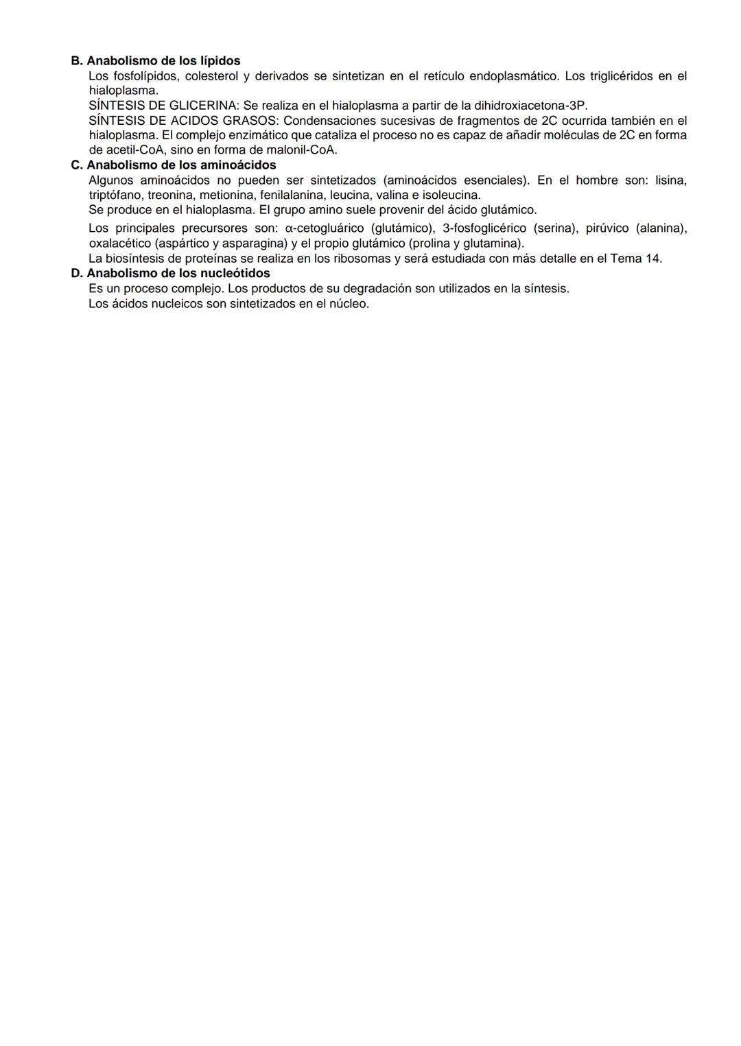 # ANABOLISMO, FOTOSÍNTESIS Y QUIMIOSÍNTESIS

I. FOTOSÍNTESIS
A. Concepto e importancia biológica
Proceso mediante el cual ciertos organismos