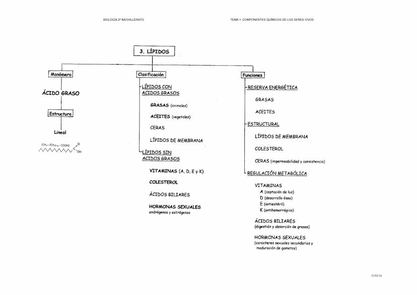 PRIMARIOS
C,O,H,N,P,S
BIOLOGIA 2º BACHILLERATO
INDISPENSABLES
Ca,Na,K,Mg,C1,Fe,
Si,Cu, Mn,B,F,I
pueden ser
SECUNDARIOS
VARIABLES
Br,Zn,Ti, V