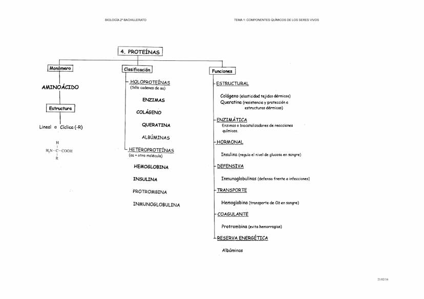 PRIMARIOS
C,O,H,N,P,S
BIOLOGIA 2º BACHILLERATO
INDISPENSABLES
Ca,Na,K,Mg,C1,Fe,
Si,Cu, Mn,B,F,I
pueden ser
SECUNDARIOS
VARIABLES
Br,Zn,Ti, V