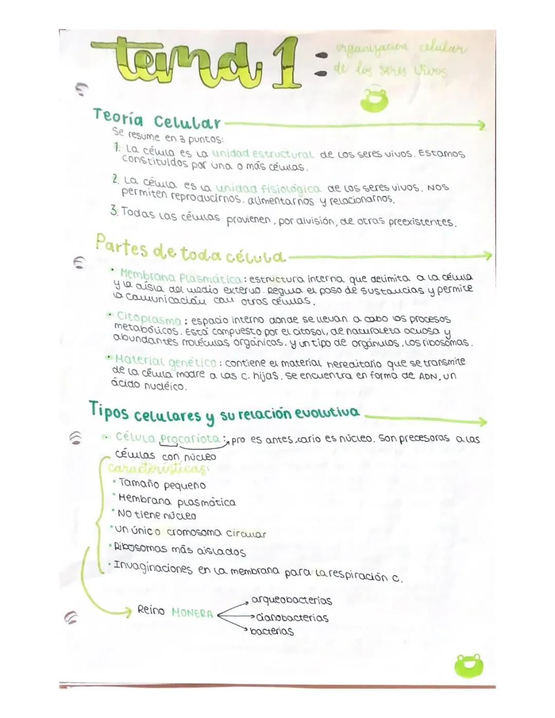 Aprende sobre la Célula y el Ciclo Celular en 4º ESO | Mitosis y Meiosis