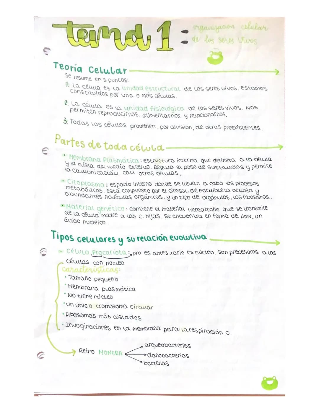 Tem 1:
Teoría Celular
Se resume en 3 puntos:
1. La célula es la unidad estructural de los seres vivos. Estamos
constituidos por una o más cé