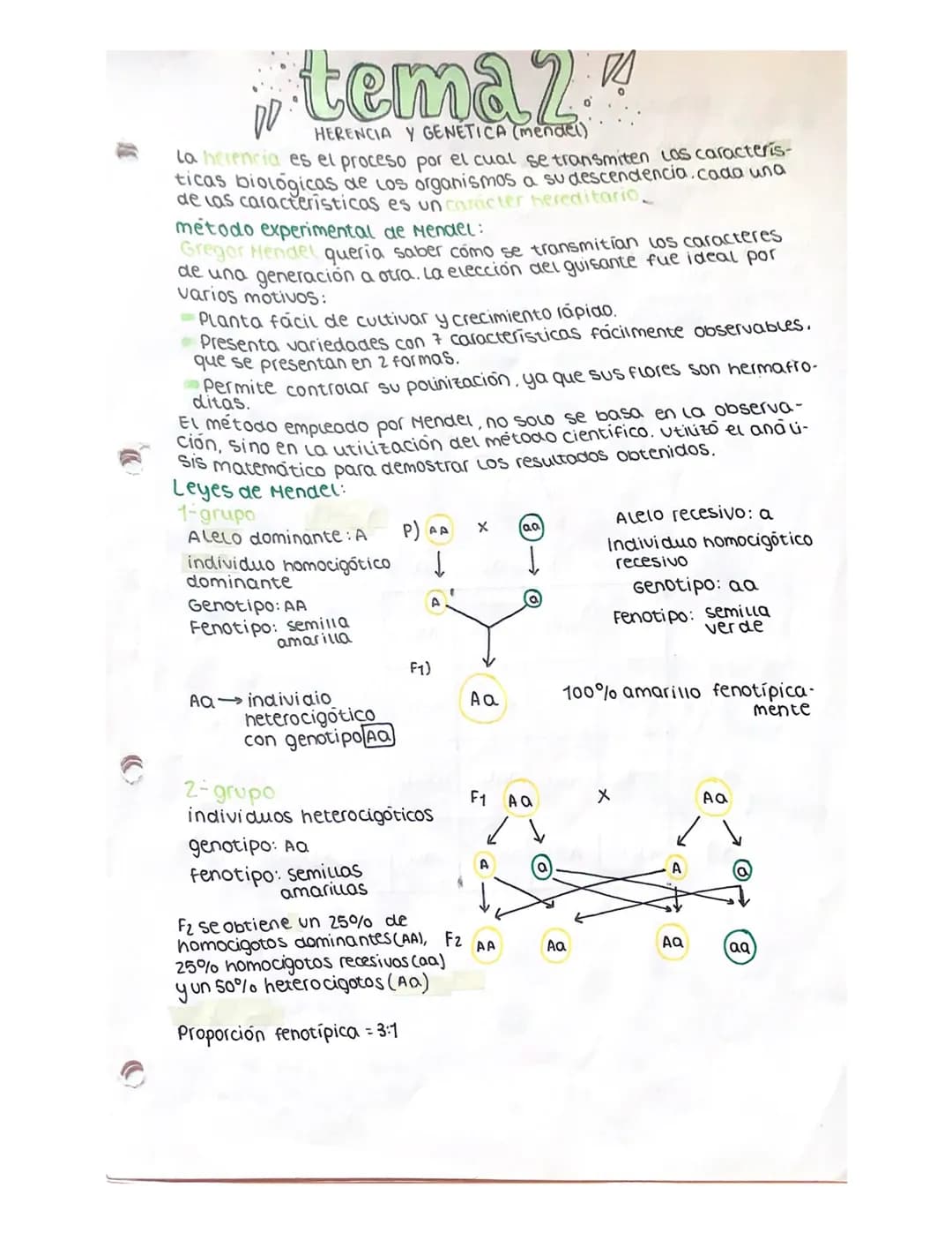 Tem 1:
Teoría Celular
Se resume en 3 puntos:
1. La célula es la unidad estructural de los seres vivos. Estamos
constituidos por una o más cé