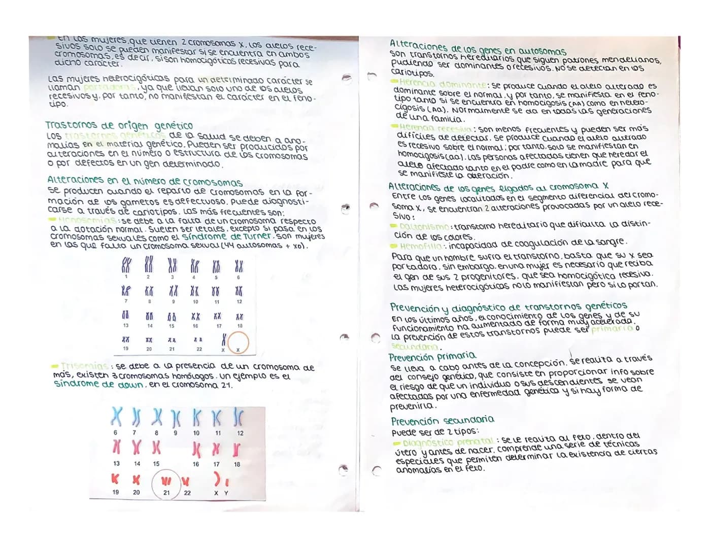 Tem 1:
Teoría Celular
Se resume en 3 puntos:
1. La célula es la unidad estructural de los seres vivos. Estamos
constituidos por una o más cé