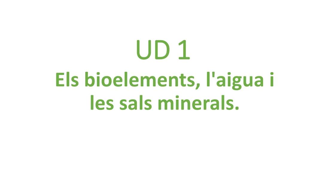 Bioelements, Aigua i Sals Minerals: Components Essentials
