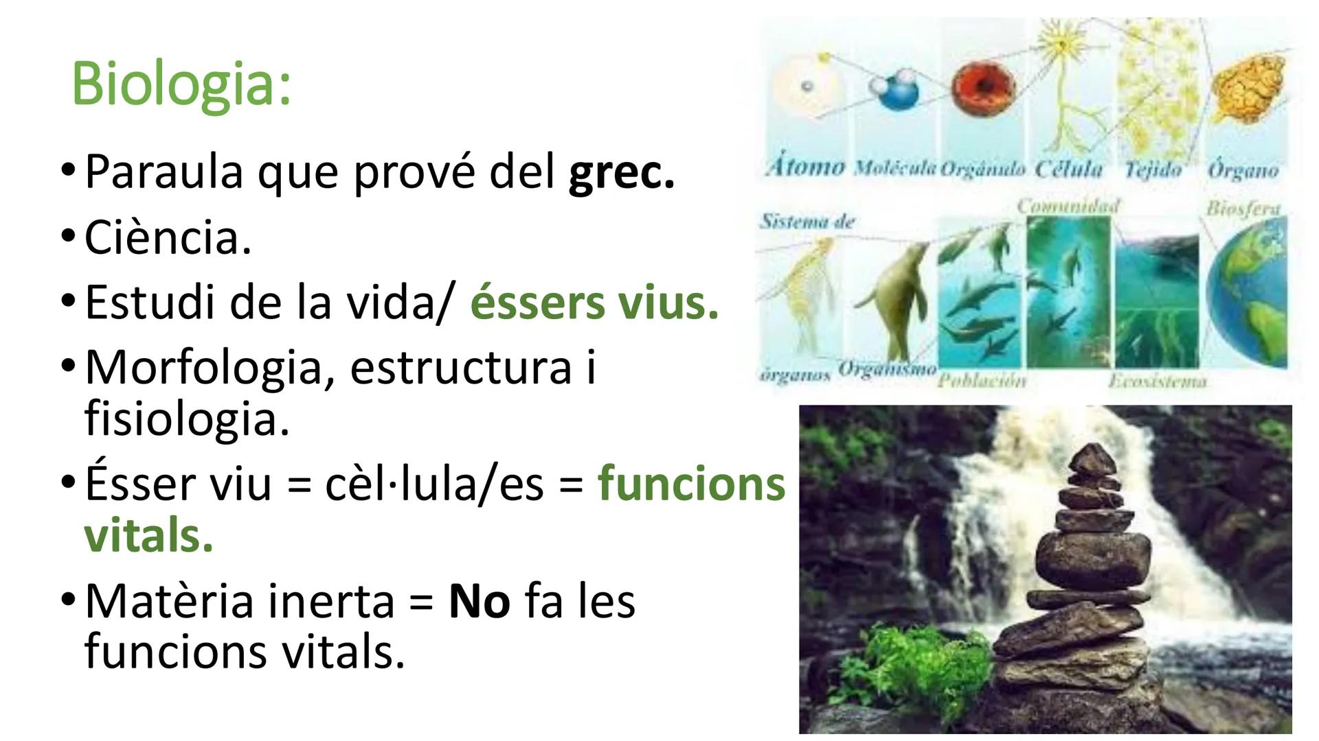 # UD 1

Els bioelements, l'aigua i les sals minerals. Biologia:

• Paraula que prové del grec.

• Ciència.

• Estudi de la vida/ éssers vius