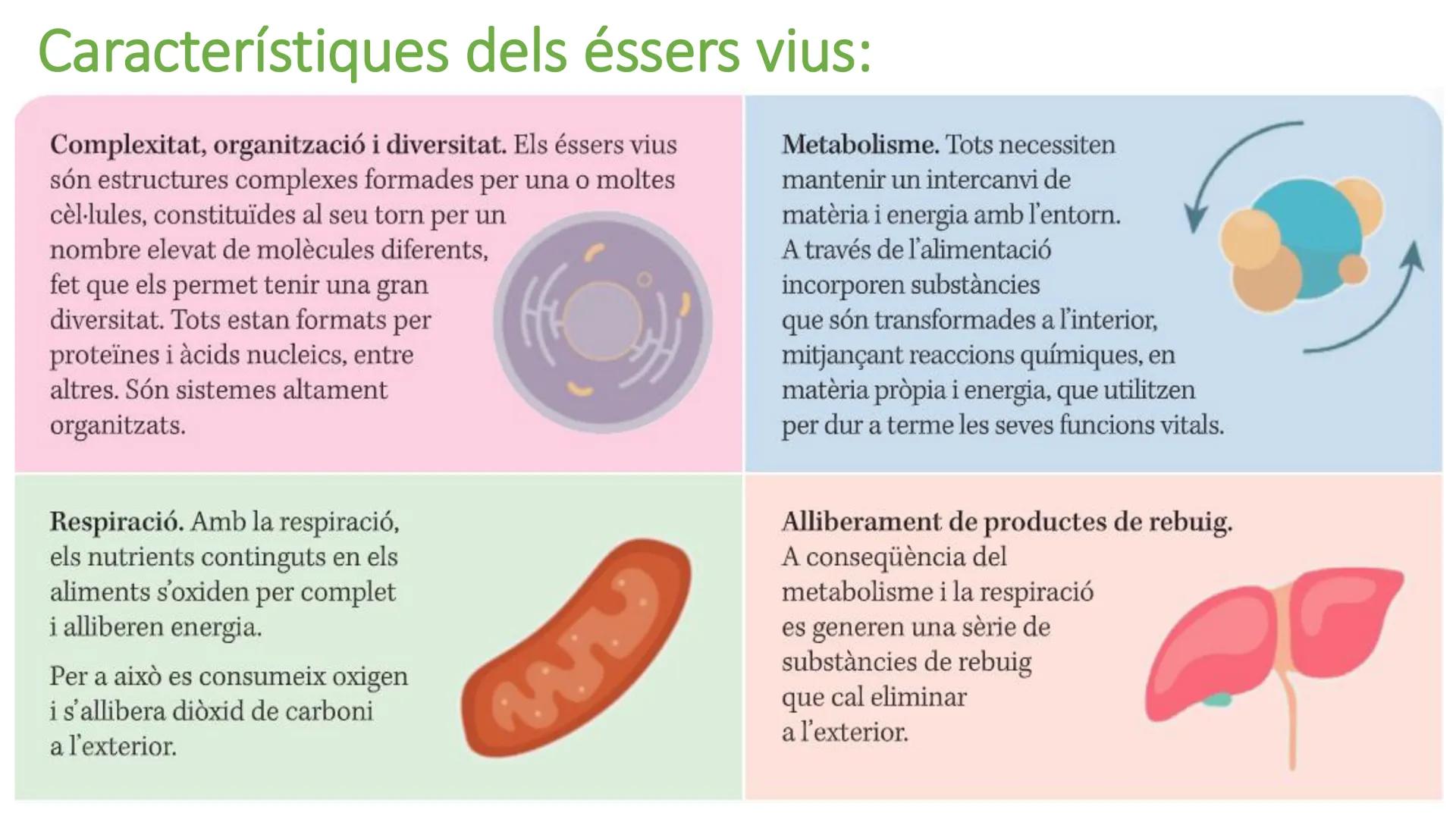 # UD 1

Els bioelements, l'aigua i les sals minerals. Biologia:

• Paraula que prové del grec.

• Ciència.

• Estudi de la vida/ éssers vius