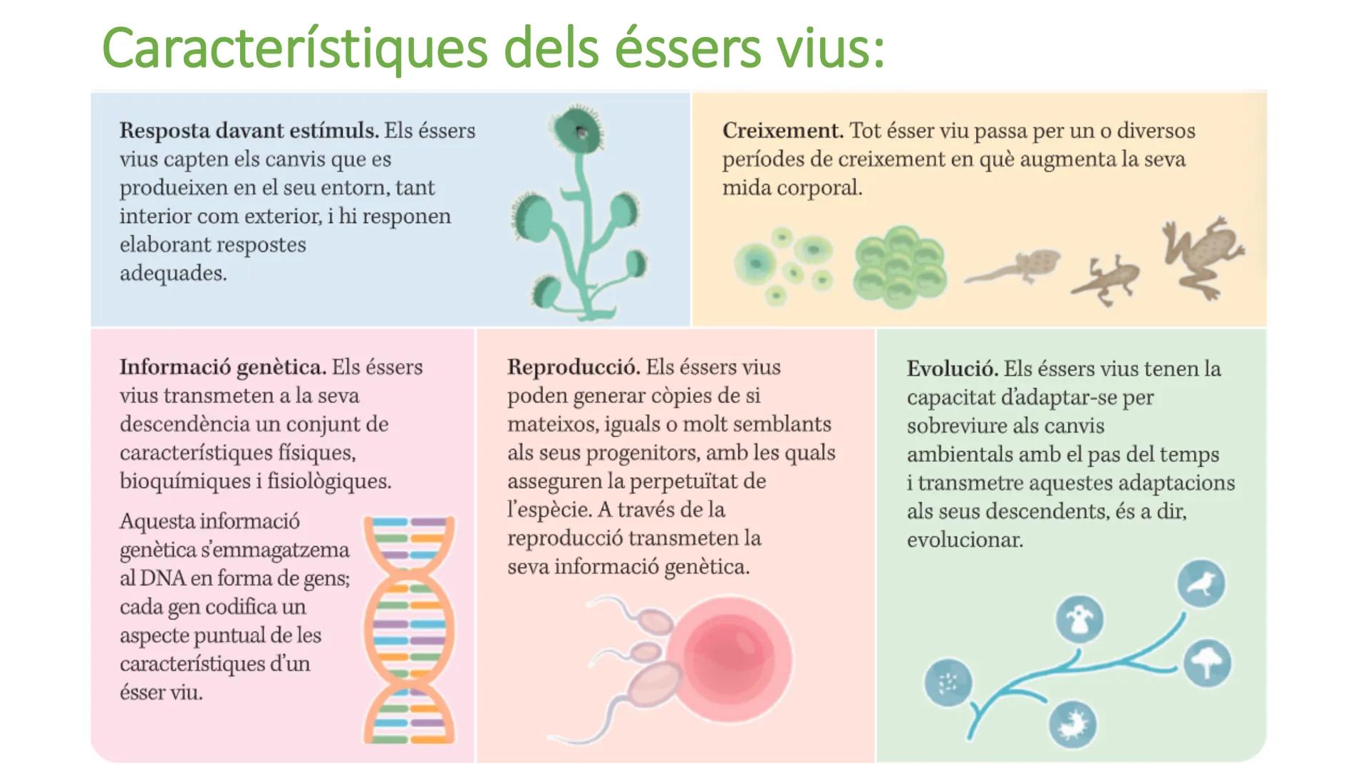 # UD 1

Els bioelements, l'aigua i les sals minerals. Biologia:

• Paraula que prové del grec.

• Ciència.

• Estudi de la vida/ éssers vius