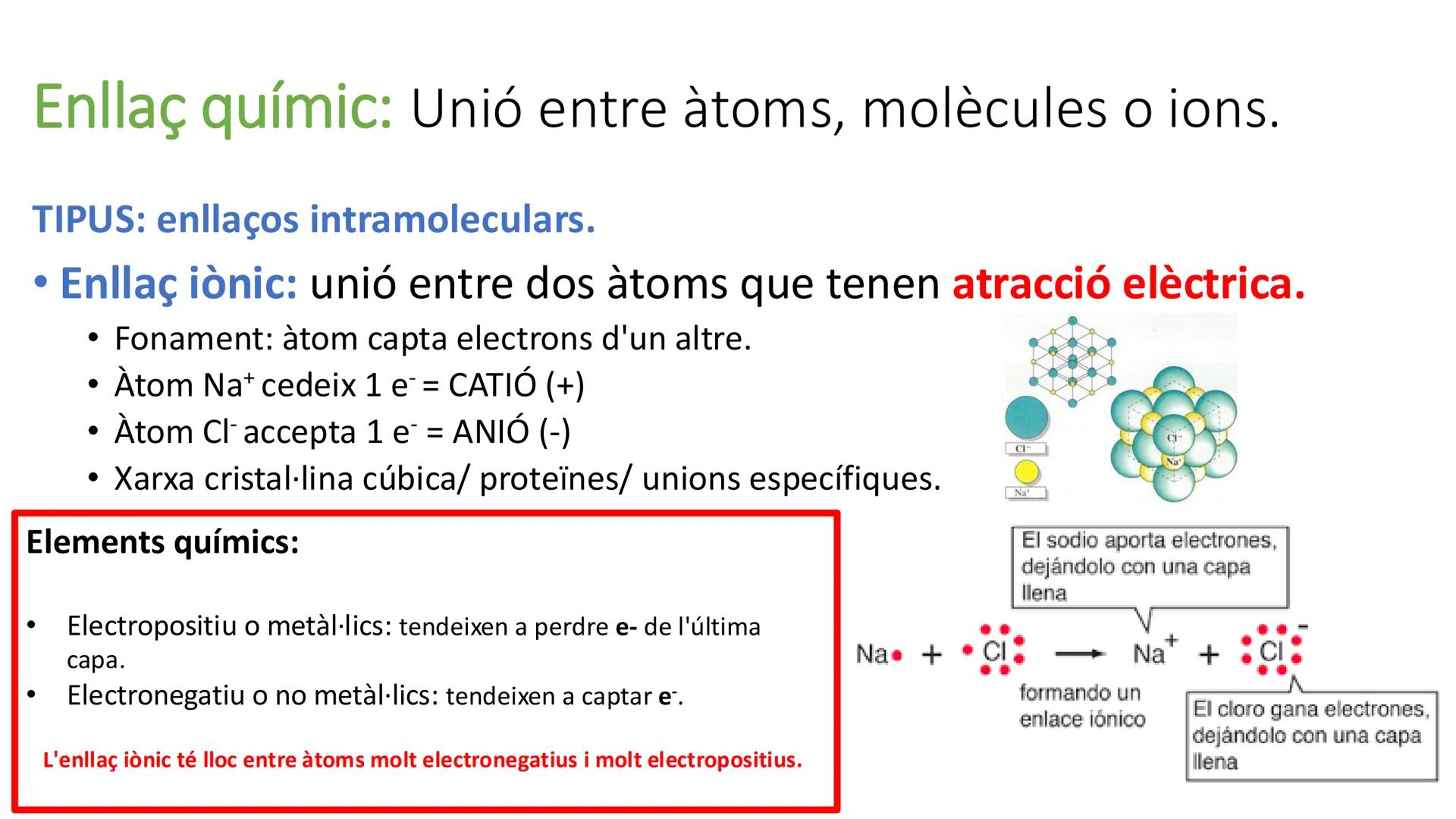 # UD 1

Els bioelements, l'aigua i les sals minerals. Biologia:

• Paraula que prové del grec.

• Ciència.

• Estudi de la vida/ éssers vius