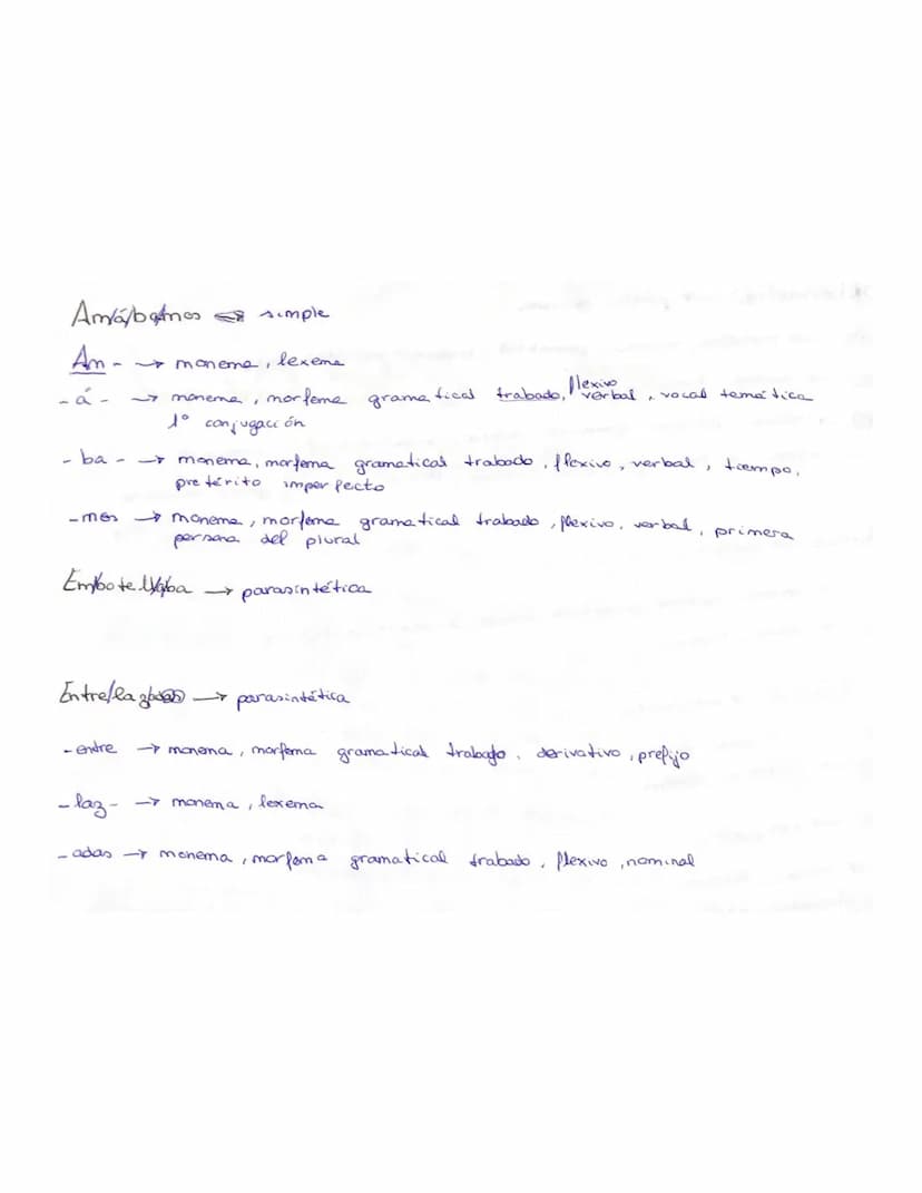 
<p>En este análisis morfológico, estudiaremos diferentes palabras y su estructura morfológica. A continuación, analizaremos una serie de pa