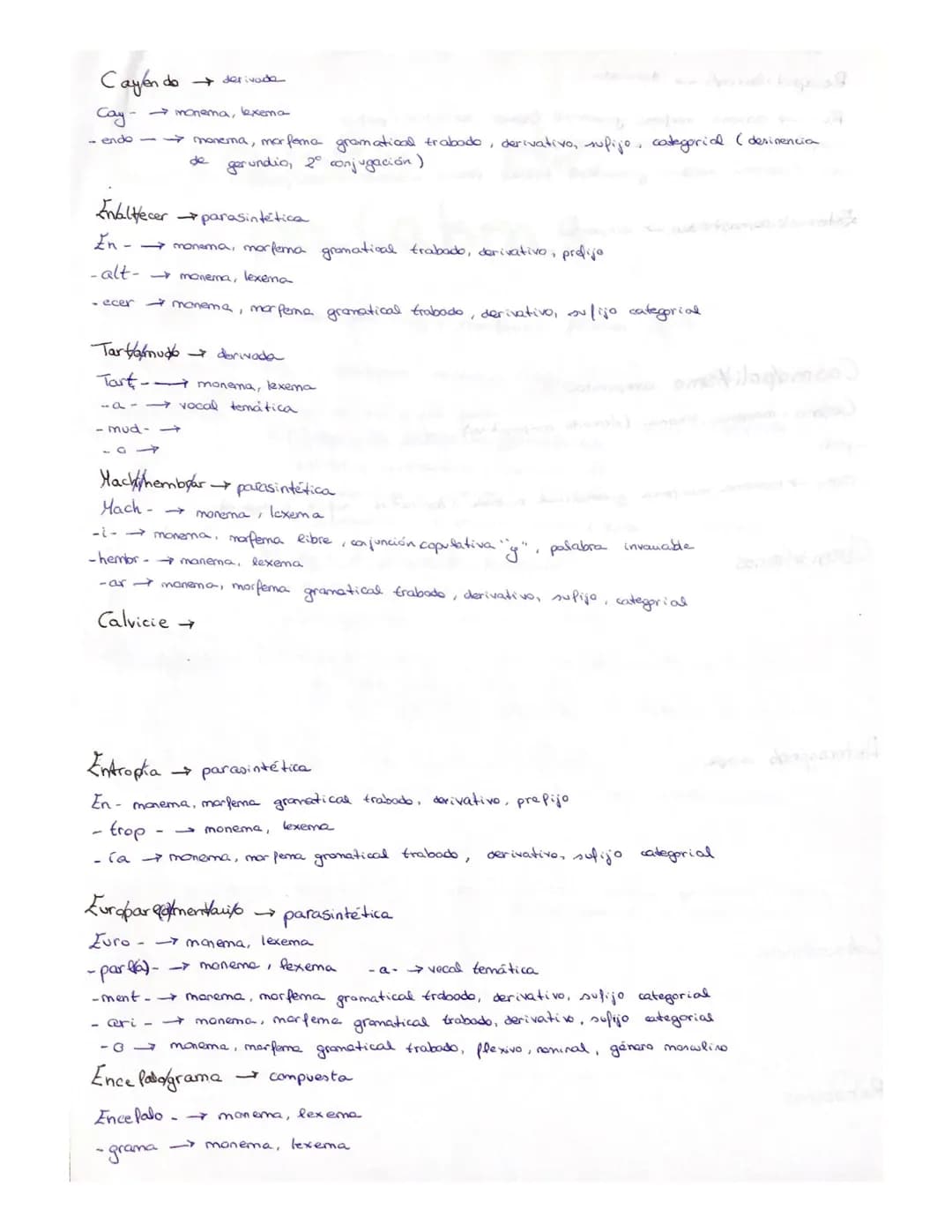
<p>En este análisis morfológico, estudiaremos diferentes palabras y su estructura morfológica. A continuación, analizaremos una serie de pa