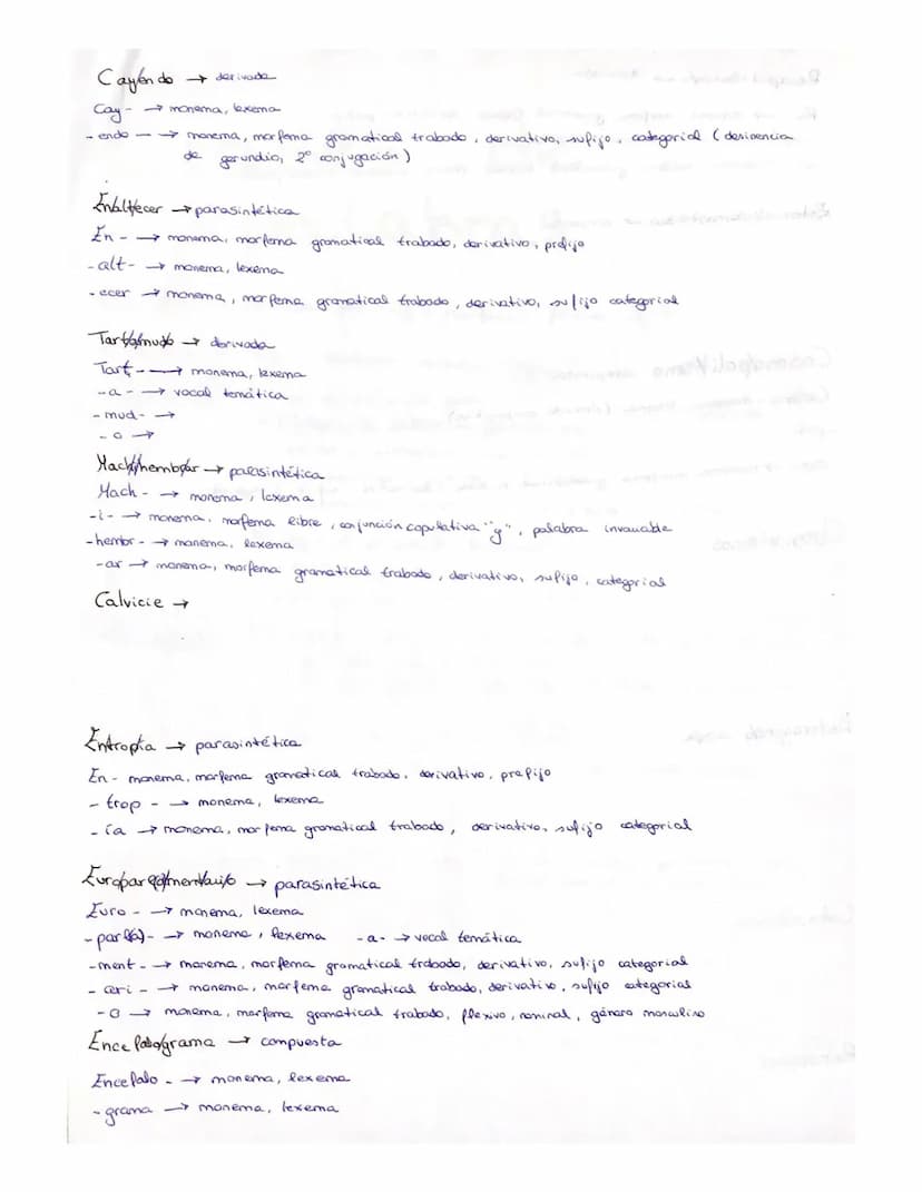 
<p>En este análisis morfológico, estudiaremos diferentes palabras y su estructura morfológica. A continuación, analizaremos una serie de pa