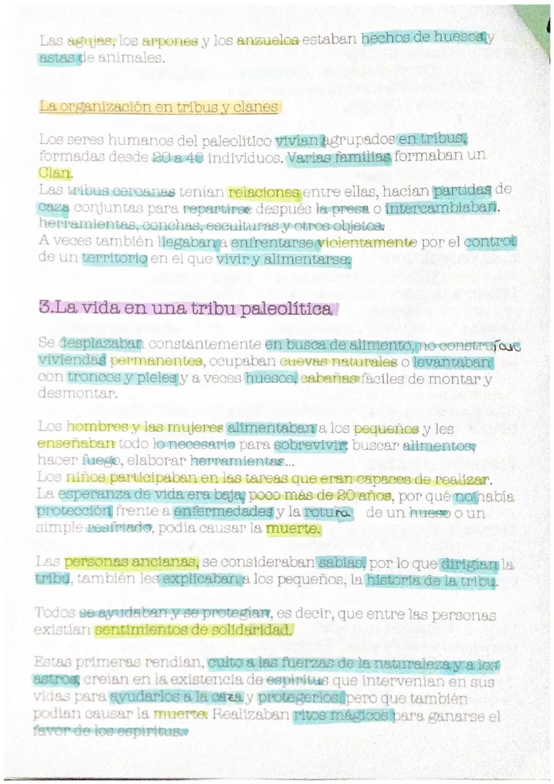 la prehistoria
1. ¿Qué es la prehistoria?
Prehistoria: periodo transcurrido entre la aparición de los primeros
antepasados de los seres huma