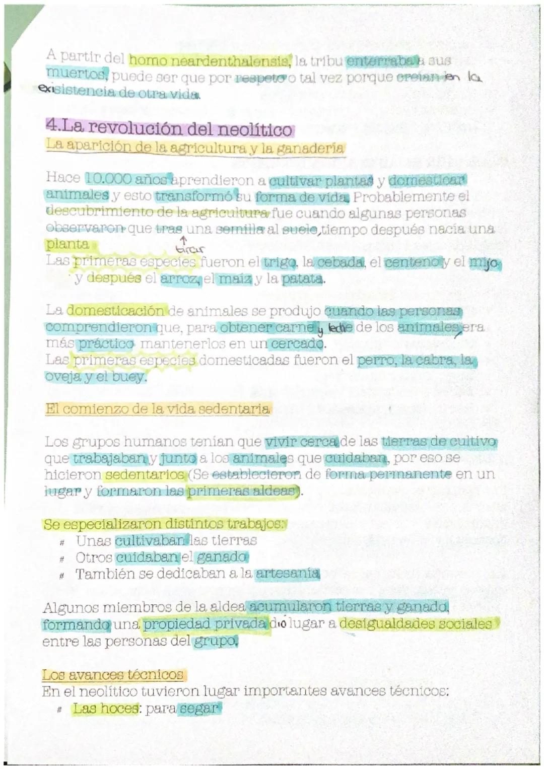 la prehistoria
1. ¿Qué es la prehistoria?
Prehistoria: periodo transcurrido entre la aparición de los primeros
antepasados de los seres huma