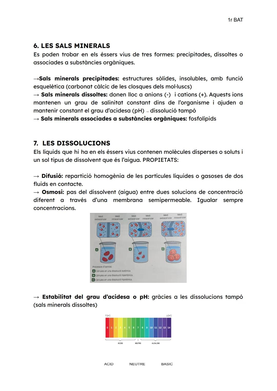1r BAT

UNITAT 1. La composició dels éssers vius

BIOLOGIA I ÉSSERS VIUS
La biología és la ciència que estudia la vida. Els éssers vius són 