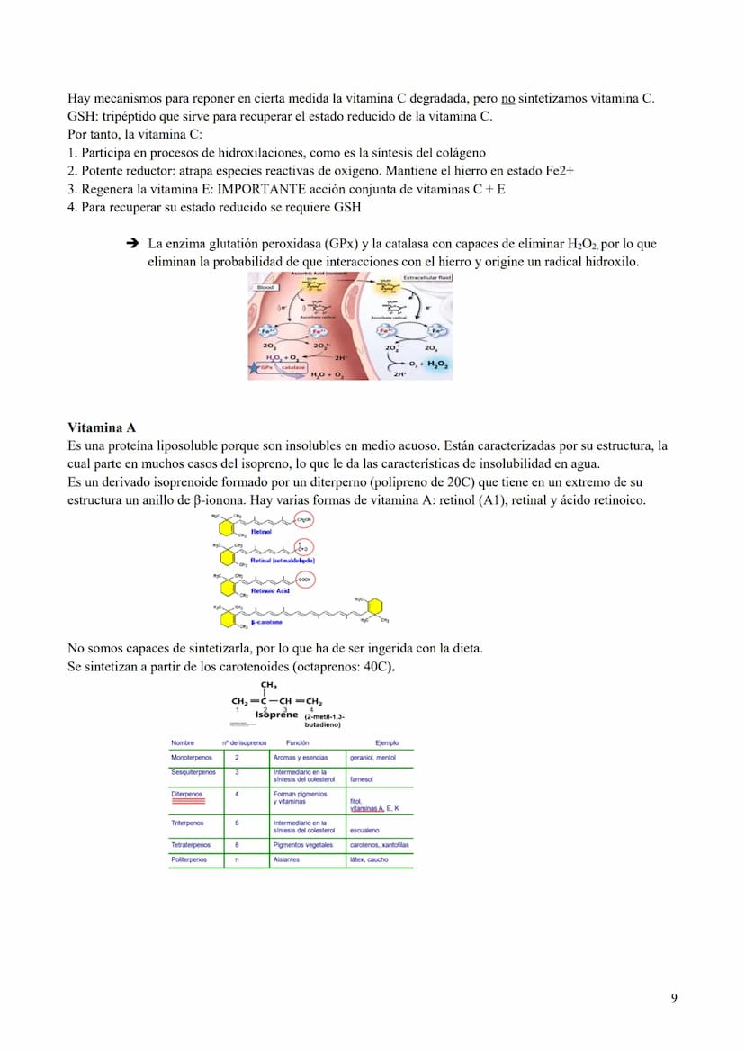 BIOQUÍMICA MÉDICA
Parte 1
[FECHA]
[NOMBRE DE LA COMPAÑÍA]
[Dirección de la compañía] TEMA 1: Macronutrientes
Nutrición:
Estudia los requerim
