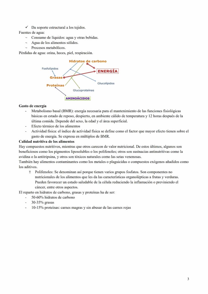 BIOQUÍMICA MÉDICA
Parte 1
[FECHA]
[NOMBRE DE LA COMPAÑÍA]
[Dirección de la compañía] TEMA 1: Macronutrientes
Nutrición:
Estudia los requerim