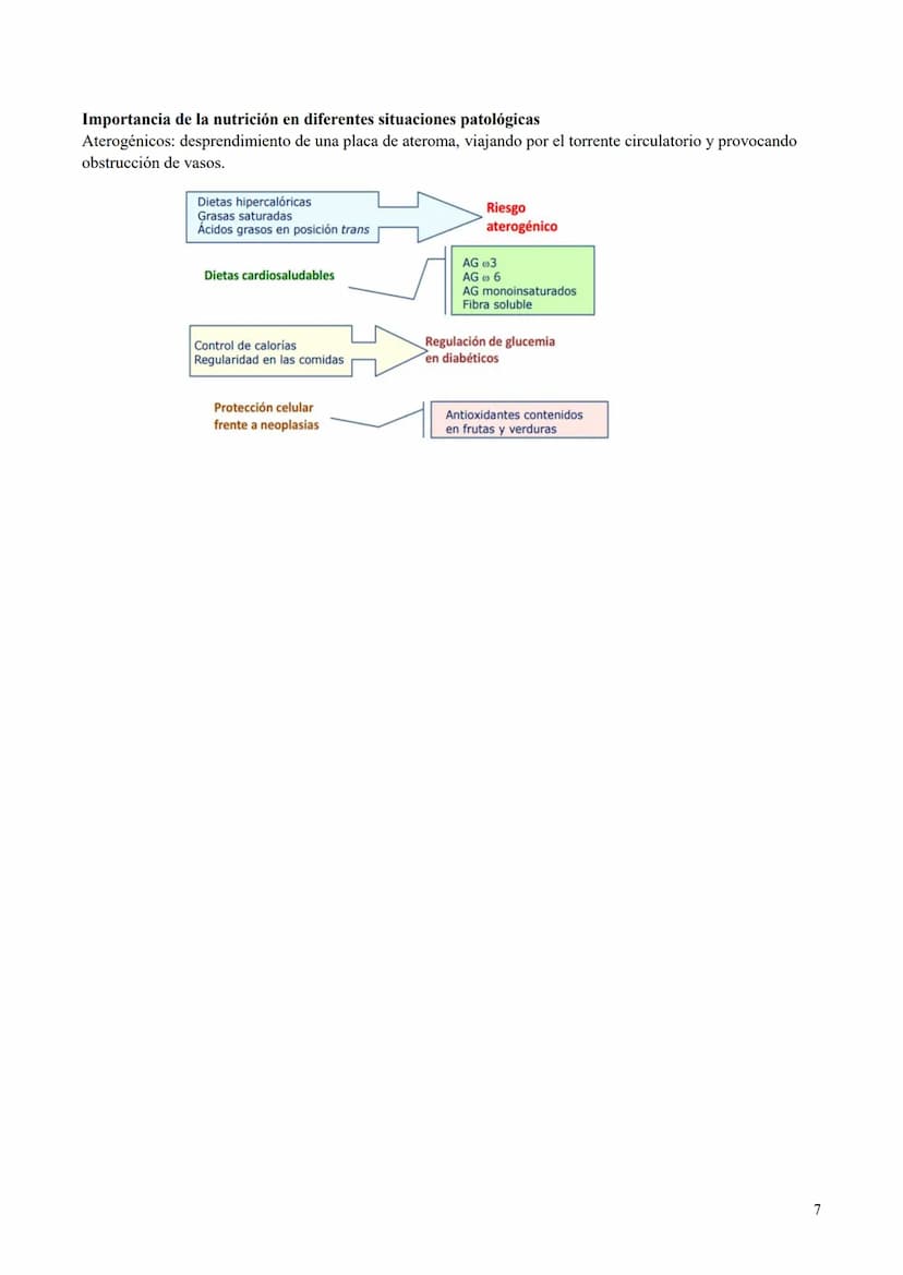 BIOQUÍMICA MÉDICA
Parte 1
[FECHA]
[NOMBRE DE LA COMPAÑÍA]
[Dirección de la compañía] TEMA 1: Macronutrientes
Nutrición:
Estudia los requerim