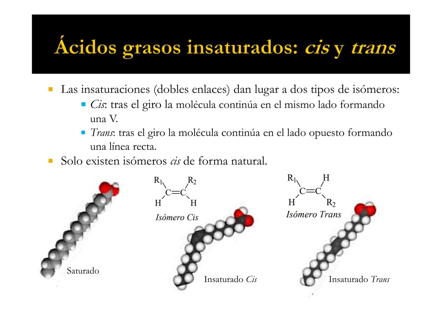 SU
T3 LÍPIDOS
Energía y Estructura
Bioquímica-I
Grado en Medicina
UNIVERSIDAD
ALFONSO X EL SABIO LÍPIDOS
1. Definición y clasificación
1.1. 