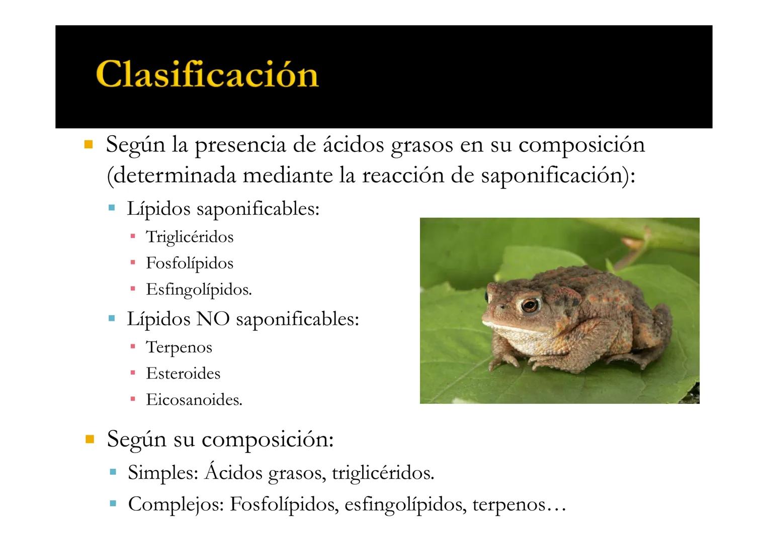 SU
T3 LÍPIDOS
Energía y Estructura
Bioquímica-I
Grado en Medicina
UNIVERSIDAD
ALFONSO X EL SABIO LÍPIDOS
1. Definición y clasificación
1.1. 
