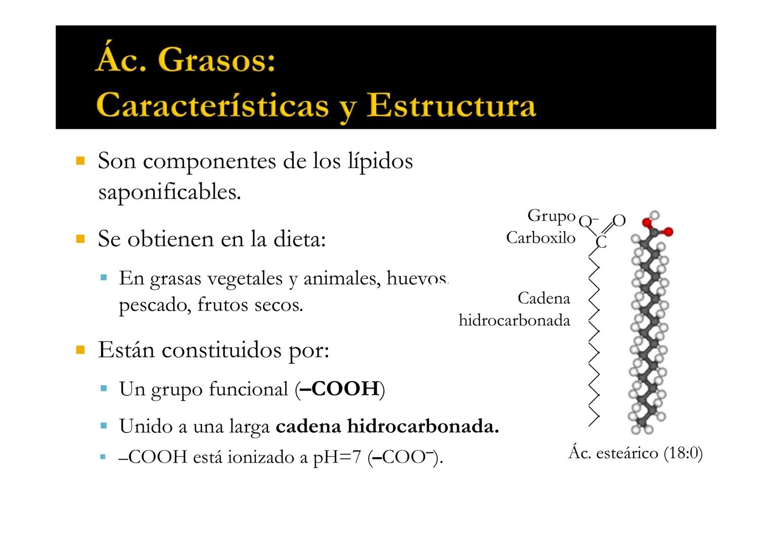 SU
T3 LÍPIDOS
Energía y Estructura
Bioquímica-I
Grado en Medicina
UNIVERSIDAD
ALFONSO X EL SABIO LÍPIDOS
1. Definición y clasificación
1.1. 