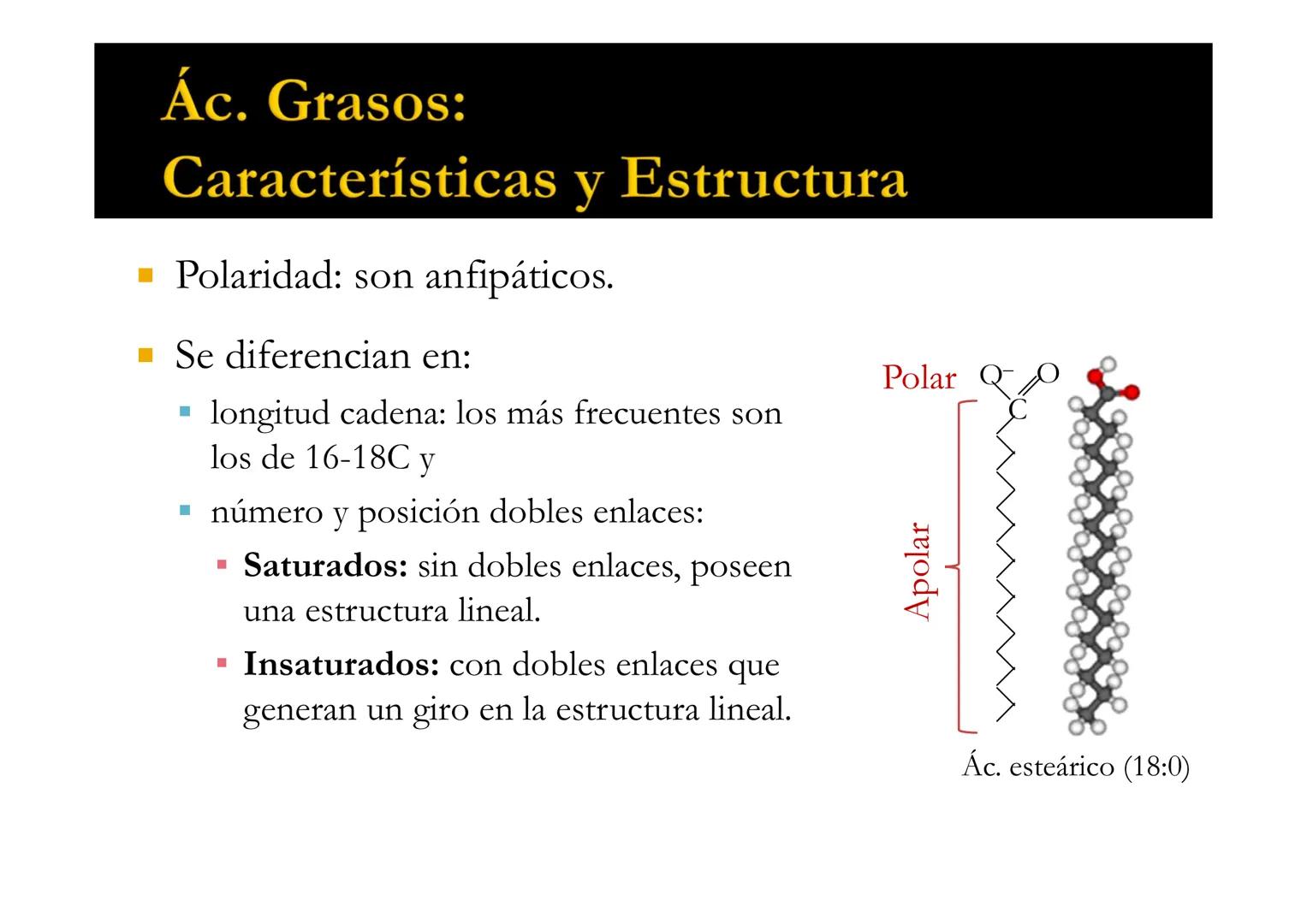 SU
T3 LÍPIDOS
Energía y Estructura
Bioquímica-I
Grado en Medicina
UNIVERSIDAD
ALFONSO X EL SABIO LÍPIDOS
1. Definición y clasificación
1.1. 