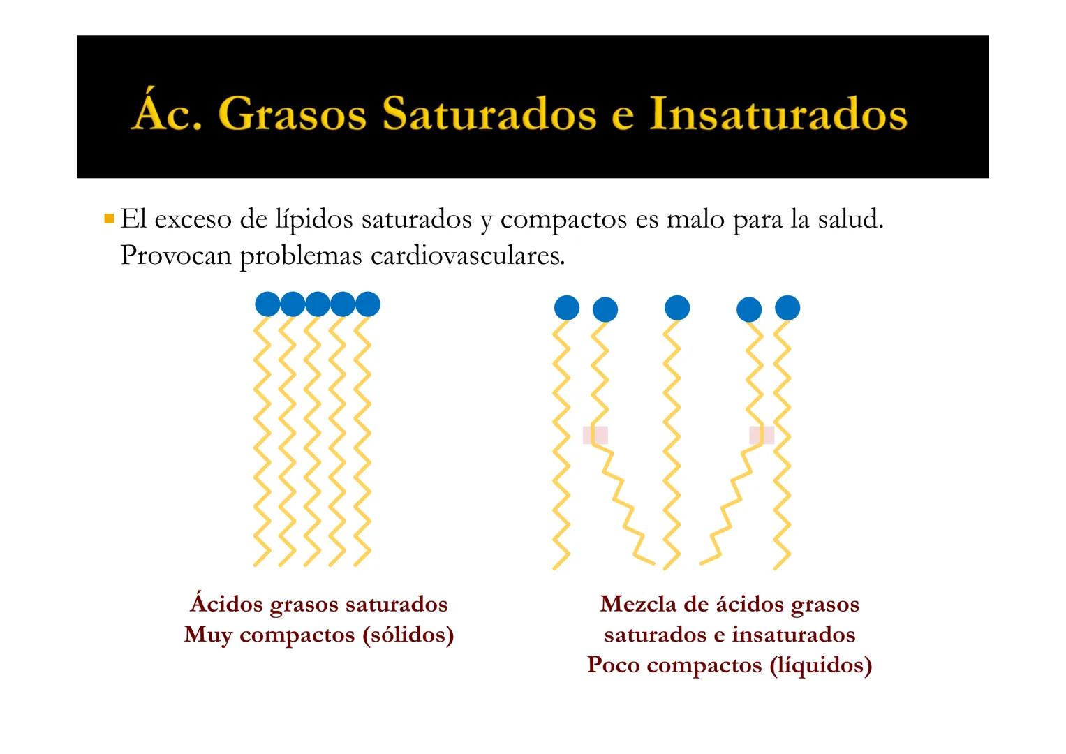 SU
T3 LÍPIDOS
Energía y Estructura
Bioquímica-I
Grado en Medicina
UNIVERSIDAD
ALFONSO X EL SABIO LÍPIDOS
1. Definición y clasificación
1.1. 
