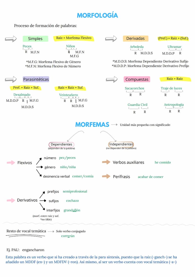 RELACIONES SEMÁNTICAS 2 BACHILLERATO
• SEMA
Unidad mínima con significado
Un ejemplo es "Chaval (chico, joven, positivo o negativo)"
Signifi