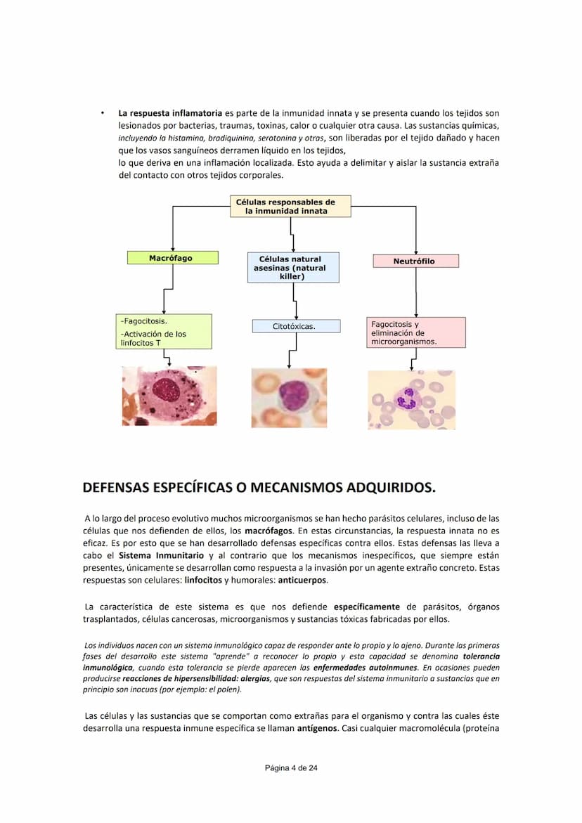 UNIDAD 5.- INMUNOLOGÍA
CONCEPTO DE INMUNIDAD (¹)
Conjunto de mecanismos que un individuo posee para enfrentarse a la invasión de cualquier c