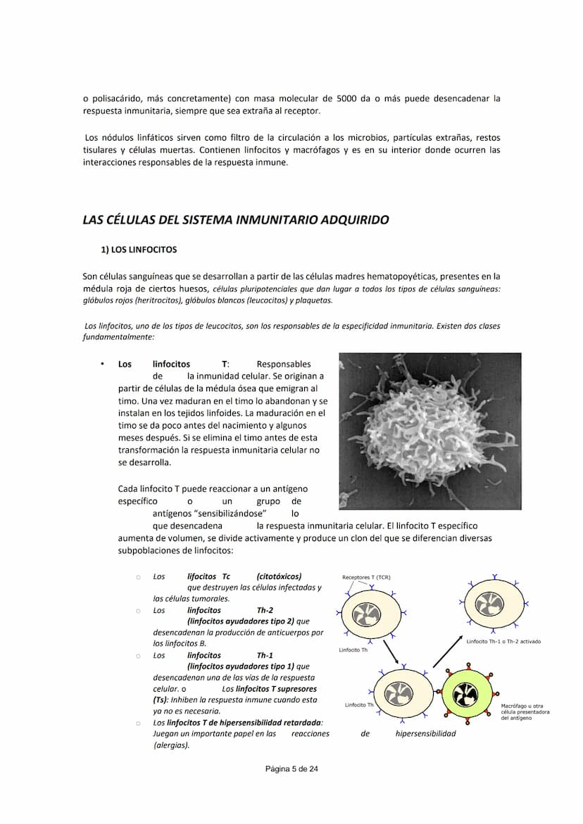 UNIDAD 5.- INMUNOLOGÍA
CONCEPTO DE INMUNIDAD (¹)
Conjunto de mecanismos que un individuo posee para enfrentarse a la invasión de cualquier c