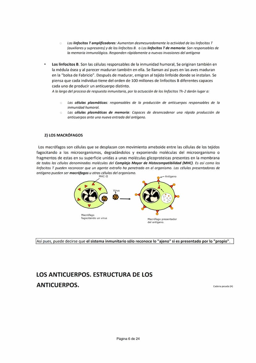 UNIDAD 5.- INMUNOLOGÍA
CONCEPTO DE INMUNIDAD (¹)
Conjunto de mecanismos que un individuo posee para enfrentarse a la invasión de cualquier c