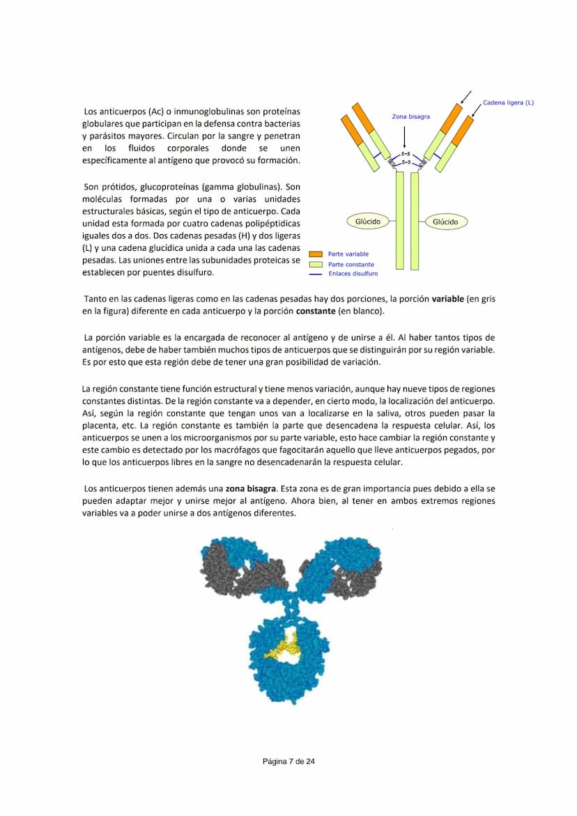 UNIDAD 5.- INMUNOLOGÍA
CONCEPTO DE INMUNIDAD (¹)
Conjunto de mecanismos que un individuo posee para enfrentarse a la invasión de cualquier c