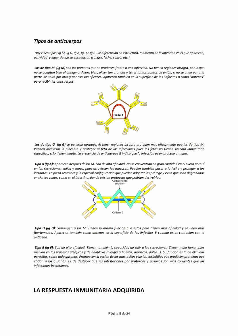 UNIDAD 5.- INMUNOLOGÍA
CONCEPTO DE INMUNIDAD (¹)
Conjunto de mecanismos que un individuo posee para enfrentarse a la invasión de cualquier c